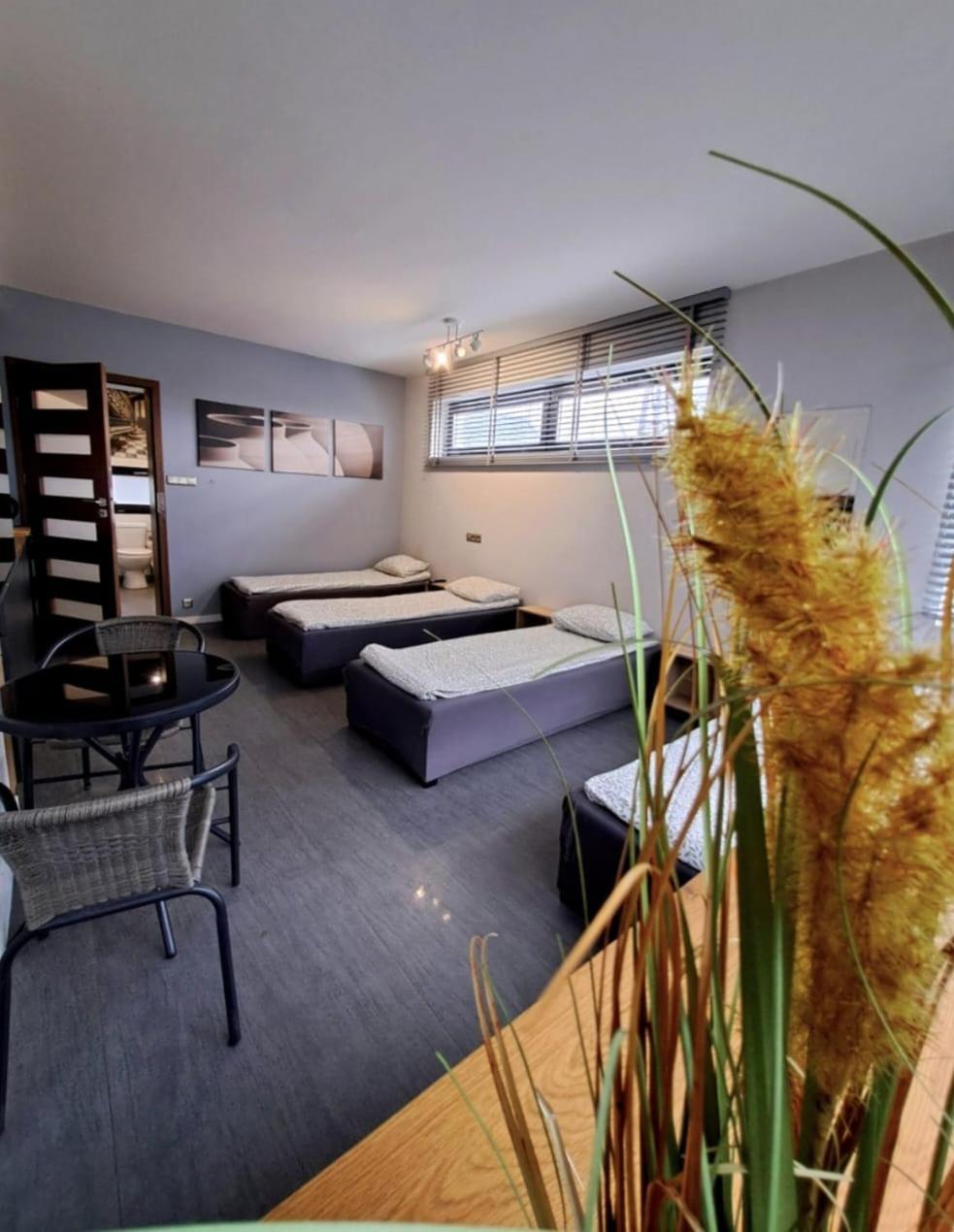 Apartament Studio Piano Плоцьк Екстер'єр фото
